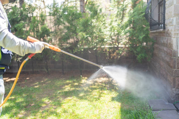 Best Pest Prevention Services  in Water Mill, NY